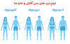 انواع تیپ بدنی در مردان و زنان 